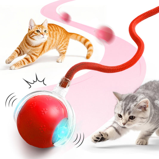 Upgraded Interactive Electric Rolling Ball with Teasing Tail
